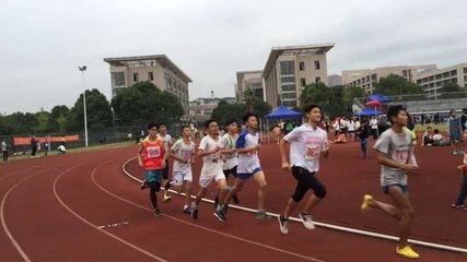 12连红专家预测五大联赛！、体育运动训练专业毕业论文