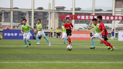 乒乓球直播在线观看免费、雨燕nba直播吧、雨燕免费直播在线观看直播、雨燕免费观看nba直播比赛