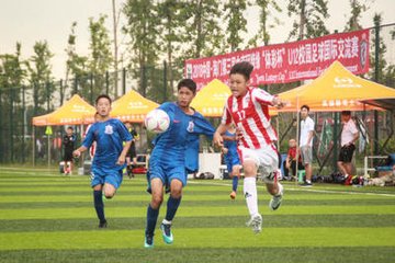 12连红专家预测五大联赛！、娱乐春秋姬叉